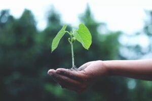 Stands sostenibles Contemporanea Eventi para ferias más ecológicas